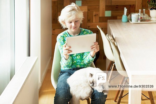 Junge mit Katze auf dem Schoß mit digitalem Tablett in der Küche