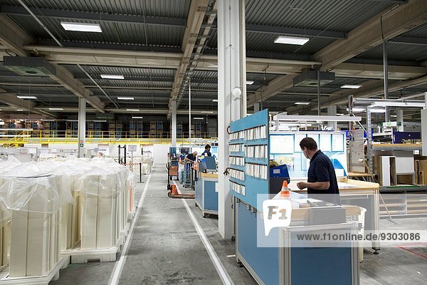 Workers in paper packaging factory