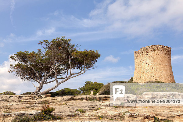 Torre de Cala Pi  medieval watchtower on the coast  Cala Pi  Majorca  Balearic Islands  Spain