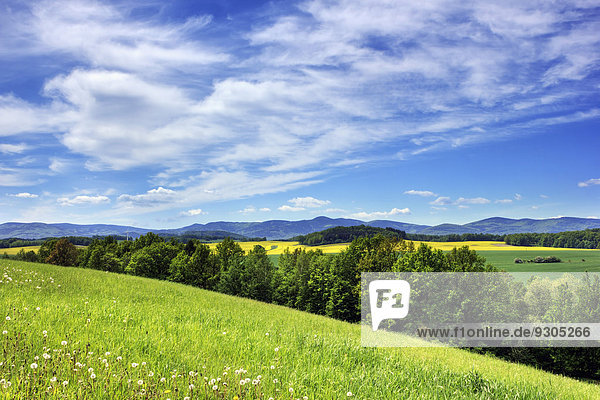 Reichensteiner Gebirge  von den Hrouda Hügeln  Velka Kras  Jesenik Bezirk  Region Olmütz  Tschechien