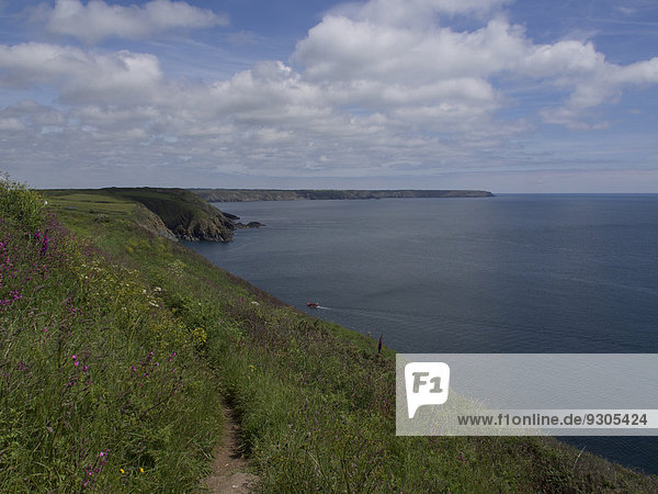Küste am South-West-Coast-Path in Cornwall  Großbritannien