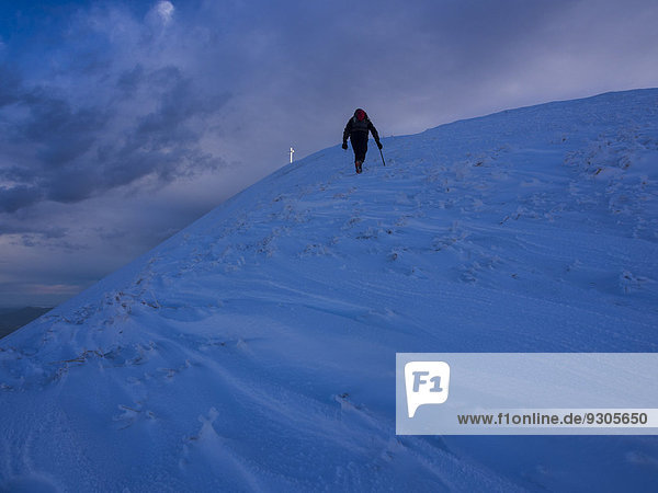 Wanderer im Schnee auf dem Monte Catria  Apennin  Region Marken  Italien