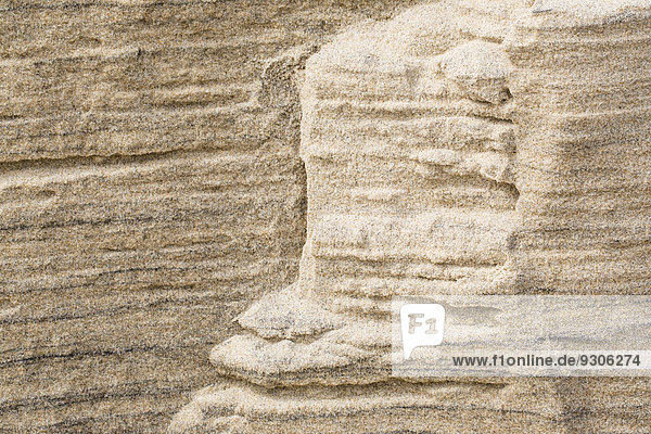 Strukturen im Sand  Detail Kliff  Odde  Sylt  Nordfriesische Inseln  Schleswig-Holstein  Deutschland