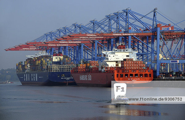 Containerschiffe,  Waltershof,  Hamburger Hafen,  Hamburg,  Deutschland