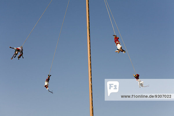 Voladores in Aktion auf einem Dorffest  San Miguel  Cuetzalan  Puebla  Mexiko