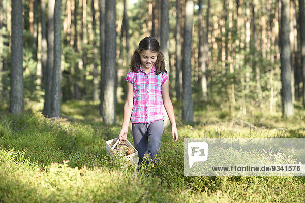 Mädchen sammelt Pilze in einem Kiefernwald