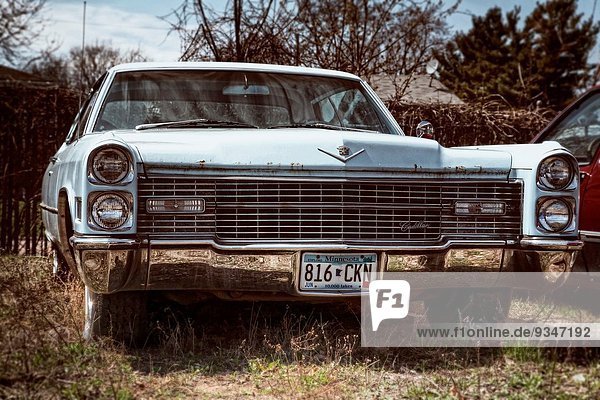 Vereinigte Staaten von Amerika USA Garten frontal Cadillac Rost links Minneapolis Minnesota alt