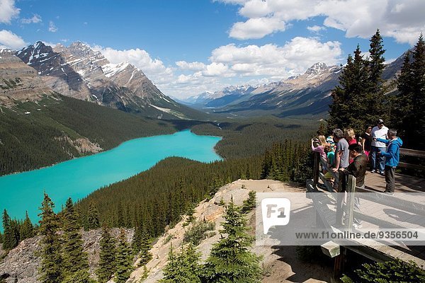 Nationalpark See Peyto Lake Alberta Banff Kanada