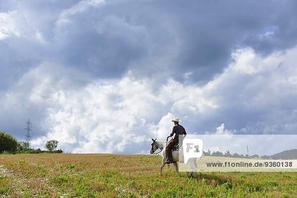Junger Mann im Cowboyanzug reitet Pferd im Feld