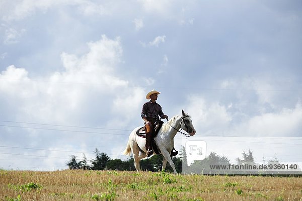 Junger Mann in Cowboy-Ausrüstung trabt auf Pferd im Feld