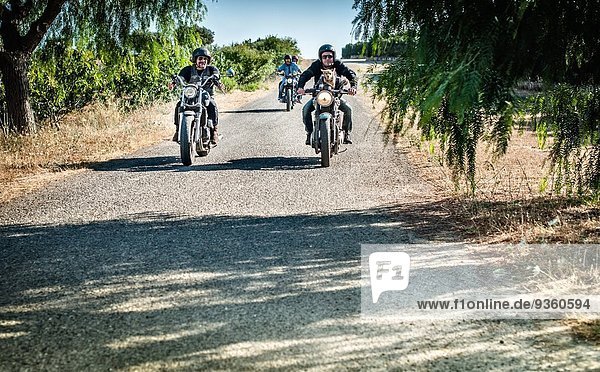 Four friends and one dog riding motorcycles on rural road  Cagliari  Sardinia  Italy