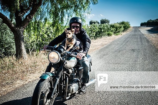 Mature man and dog riding motorcycle on rural road  Cagliari  Sardinia  Italy