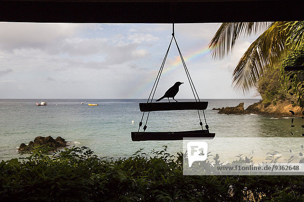 Karibik  Trinidad und Tobago  Tobago  Castara  Vogelsilhouette vor dem Regenbogen