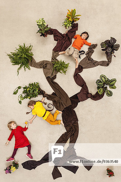 Children playing monkeys in tree