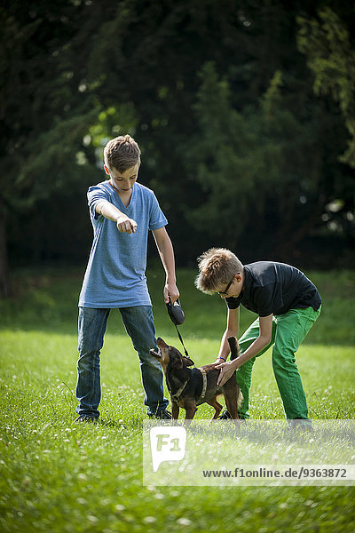 Zwei Jungen  die mit ihrem Hund auf einer Wiese spielen.