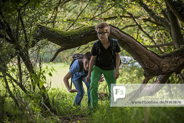 Zwei Jungen erkunden einen Wald