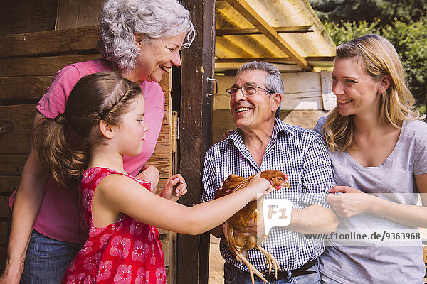 Germany  Northrhine Westphalia  Bornheim  Girl petting chocken with grand parents