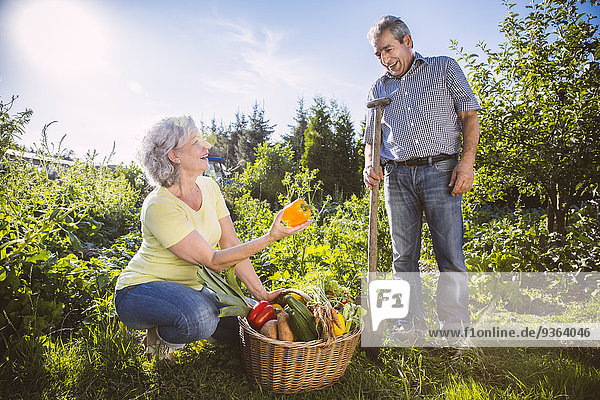 Deutschland  Nordrhein-Westfalen  Bornheim  Seniorenpaar mit Gemüsekorb im Garten