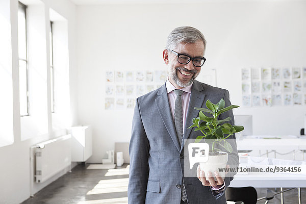 Porträt eines lächelnden Geschäftsmannes beim Anblick eines Blumentopfes im Büro