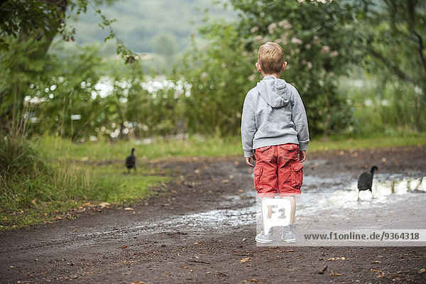 Germany  Rhineland-Palatinate  Laacher See  boy looking at two ducks