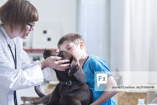 Junge beim Tierarzt mit Hund