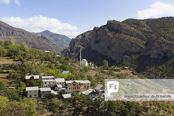 Türkei  Schwarzmeerregion  Pontisches Gebirge  Provinz Guemueshane  Dorf Ikisu