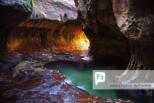 Rock formations and pool in cave  Zion National Park  Utah  United States