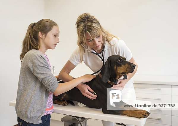 Tierärztin untersucht Hund