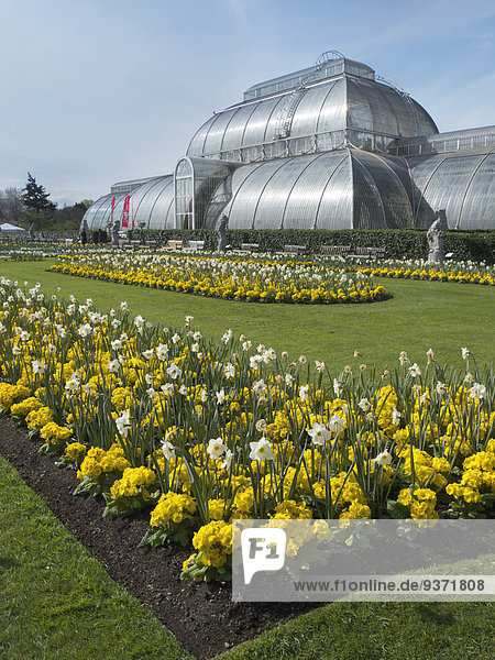 Blumenbeet am Palmenhaus,  Kew Gardens,  London,  England,  Großbritannien