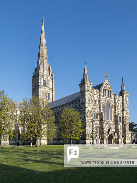 Salisbury Cathedral  Wiltshire  England  Großbritannien