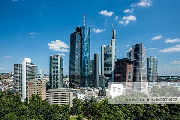 Skyline von Frankfurt am Main  Deutschland