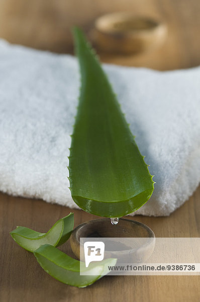 Aloe Vera-Blatt  Schälchen und Handtuch