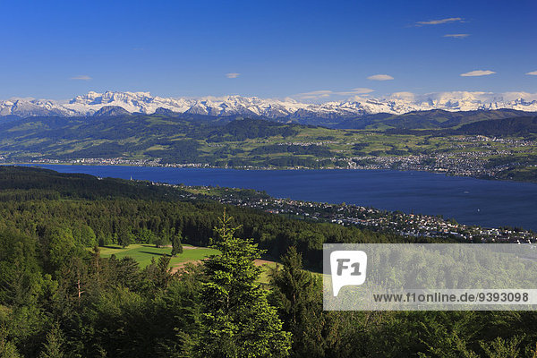 blauer Himmel,wolkenloser Himmel,wolkenlos,Panorama,Wasser ...