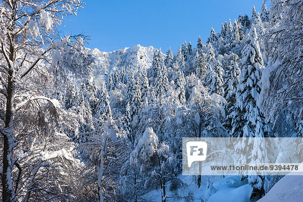 Europa Winter Schnee Schweiz