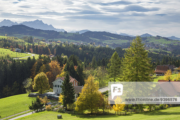 Europa Berg Wolke Wald Holz Herbst sehen Schweiz Wetter