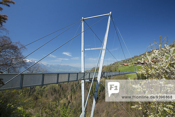 Suspension bridge  Sigriswil  spring  canton Bern  bridge  footpath  Switzerland  Europe