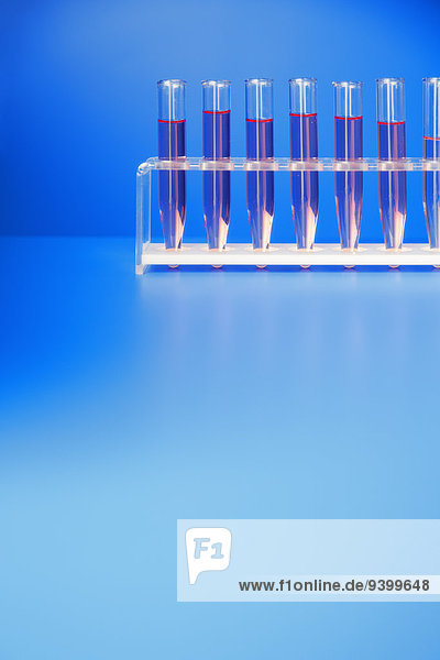 Reagenzglasständer mit Lösung auf blauer Theke