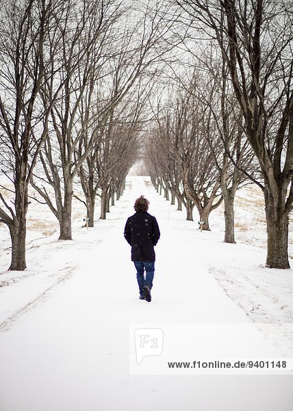 Young man stands between trees in winter