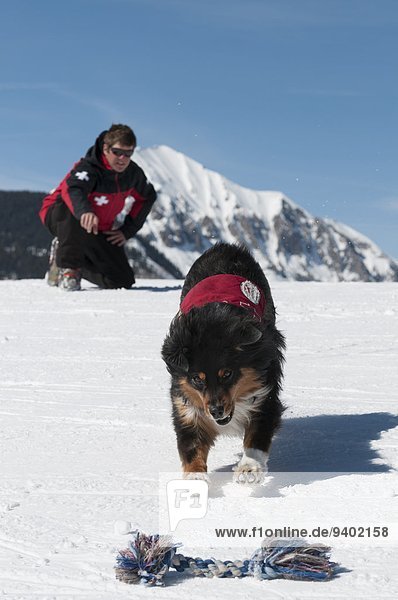 Male ski patroller and his search dog training at the Crested Butte Ski Resort  Crested Butte  Colorado.