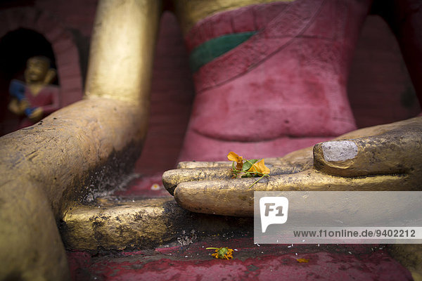 Blume, gelb, halten, Statue, Buddha