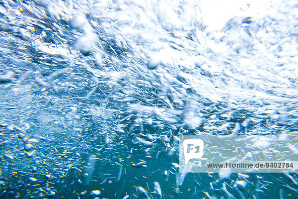 Anschnitt Außenaufnahme Muster durchsichtig transparent transparente transparentes Wasser Frankreich Tag Schönheit Wasserwelle Welle Unterwasseraufnahme niemand Meer Natur Querformat Abstraktion Blase Blasen Hintergrund Close-up blau Bouches-du-Rhone Formatfüllend Marseille freie Natur Schnittmuster