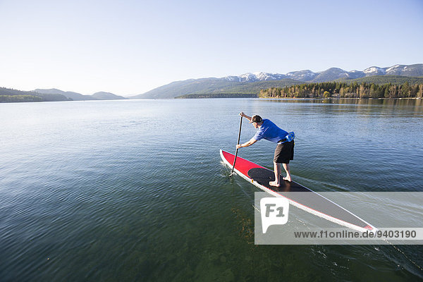 A fit male stand up paddle boards (SUP) at sunset on Whitefish Lake in Whitefish  Montana.