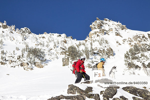 Two male backcountry skiers and a dog in the Beehive Basin near Big Sky  Montana.