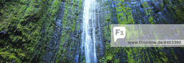 Vereinigte Staaten von Amerika USA Nationalpark Außenaufnahme Landschaftlich schön landschaftlich reizvoll Wasser Berg Tag Ruhe folgen Landschaft Schönheit niemand Querformat Fluss Wasserfall Frische Hawaii Haleakala Nationalpark grün Idylle Maui freie Natur