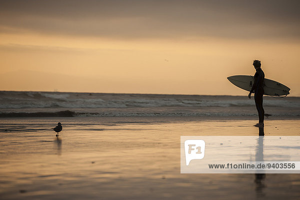 20-24 Years beach bird California extreme sports Full Length Horizontal Horizontal Huntington Beach ocean one animal One Person One Young Man Only outdoors pacific ocean sand shoreline Side View Sport Sportswear standing sunset Surfboard USA wave Wetsuit