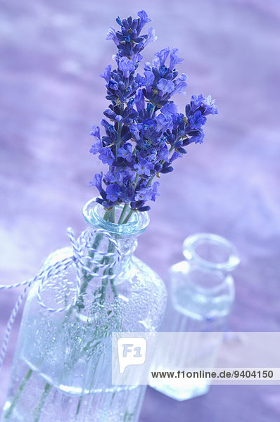 Lavendelblüte und Lavendelwasser in einer Glasflasche
