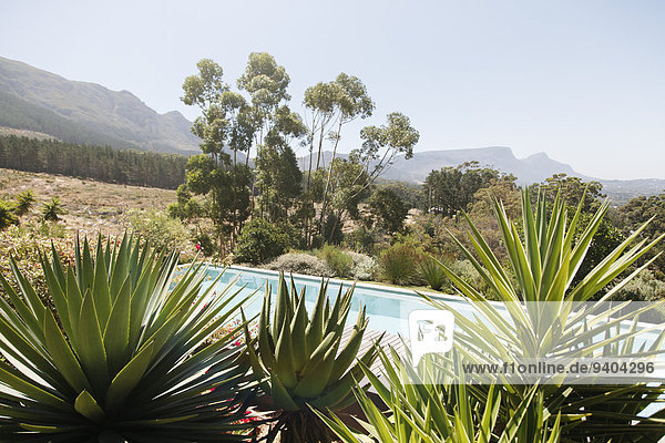 Swimming pool with aloe plants in foreground in hilly landscape