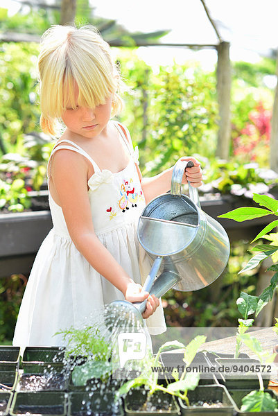 Blondes Mädchen trägt ein Sonnenkleid und gießt Topfpflanzen im Gewächshaus.