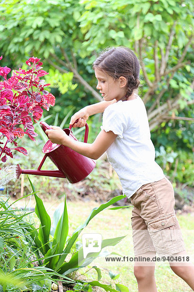 Mädchen-Gießpflanzen im Garten mit roter Gießkanne