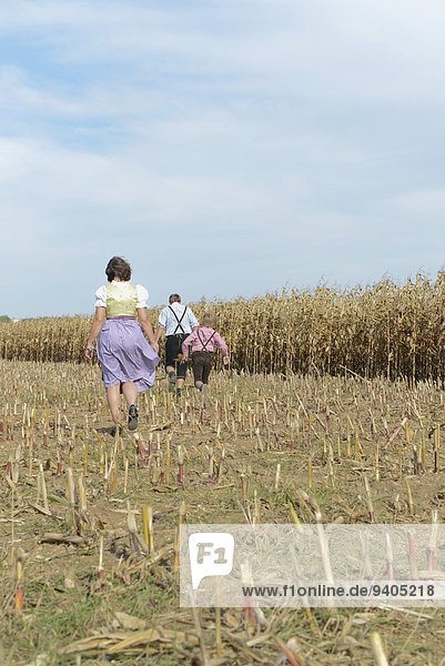 Family walking in cornfield
